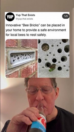 Innovative "Bee Bricks" Can Be Placed in Your Home To Provide Environment For Bees To Nest Safely.