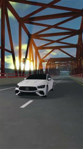 0% language, 100% understanding 🗣️ #erlc #erlcroblox #roblox #shorts