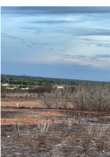 A primeira Lua cheia 🌕 do ano de 2026.#chuva #nordeste #sitio