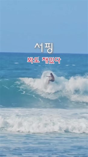 #할아이와_노스쇼어 #하와이 #서퍼 #바다스포츠