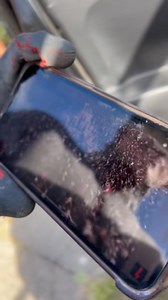 Ginger Cal Friends on Reels