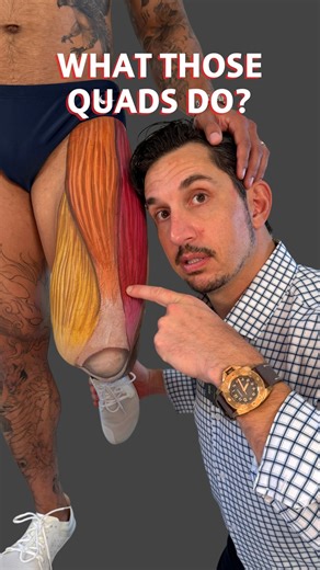 Quads aren’t just front-of-thigh show muscles—they do a ton of work behind the scenes. - Rectus femoris crosses the hip and knee, helping flex the hip and straighten the knee. - Vastus lateralis, medialis, and intermedius attach to the femur and patella, controlling knee extension. How they work in your body: - Knee bent: quads straighten it. - Feet planted: quads slow your squat down and fire to help you stand back up. - Rectus femoris tension: can pull your pelvis forward if overactive. Strong