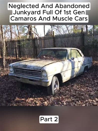 Neglected And Abandoned Junkyard Full Of 1st Gen Camaros And Muscle Cars! (Part 2) #barnfind #abandonedcar | Abandoned Cars