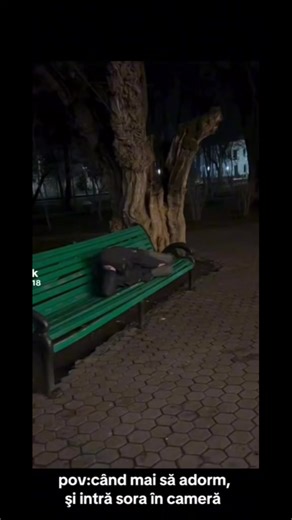 vas_1.a (@vas_1.a8)’s videos with sunet original - vas_1.a