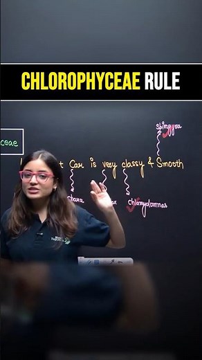 Chlorophyceae Examples TRICK 🤯 | Plant Kingdom: Class 11th Biology | Apeksha Ma'am