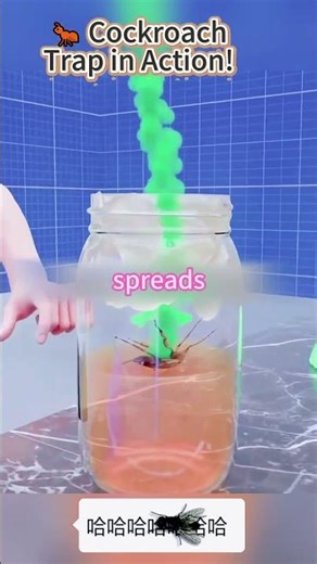 🐜 Cockroach Trap in Action! 🪤