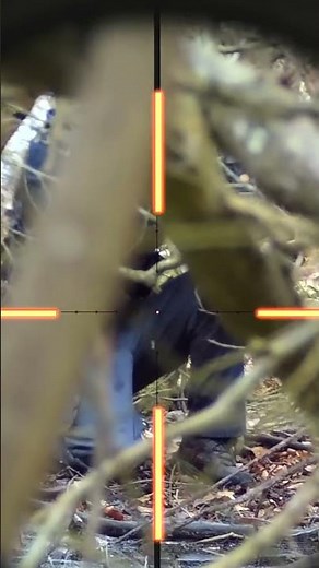 Ghillie Swamp Snipers Take Out Whole Squad