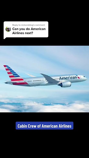 American Airlines Cabin Crew Uniform Guide