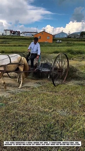 Traditional Farming Meets Smart Efficiency