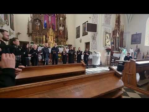 "Lineli lineli" (l.l.d.) - Suvalkų vokalinis ansamblis "Sūduva"