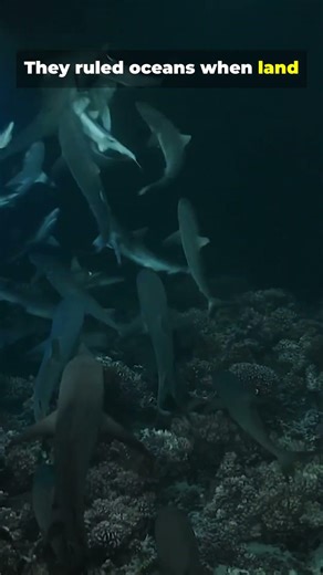 Sharks existed before trees part 2