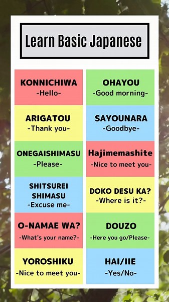 Learn Basic Japanese: Easy Japanese Language Tutorial for Beginners