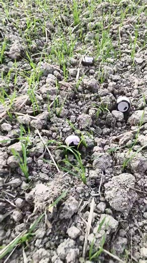 mini sun fly testing