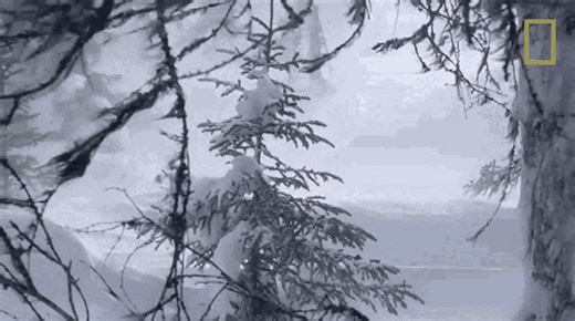 Central Maine Power Community Outreach representative will be hosting a presentation titled; "Storm Response in Your Community" at the Selectmen's meeting Monday, November 24 at 6:00pm at the Greene Town Office. This presentation is designed to help communities better understand how CMP responds to storms, restore power, and maintain infrastructure. It also covers; *The causes of outages and how we address them. *The infrastructure in your community that supports reliability. *How residents can 