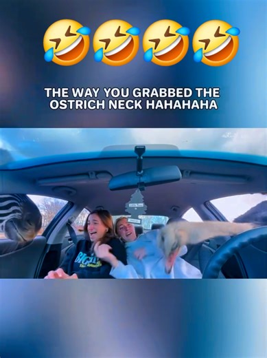 2026 funny videos #viral humor videos #meme #viraltiktok #funny #humor