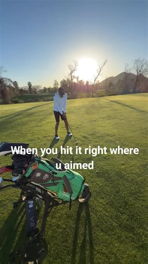 Mastering the Perfect Shot in Sports