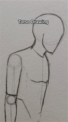 How to draw a Torso #drawing #anime #anatomy #shorts