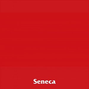 Combine experiential learning with a network of industry professionals to create your career in a dynamic creative economy. | Seneca Polytechnic