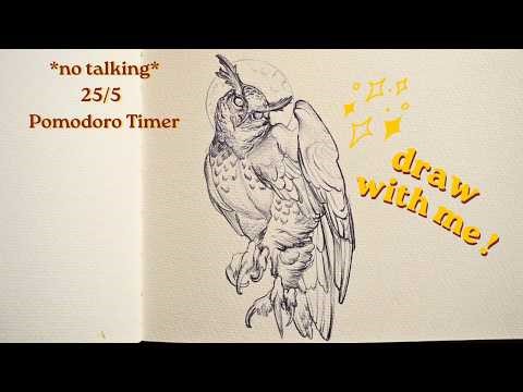 Draw with Me: Owl Sketch 🦉 Lo-fi Music & Pomodoro Timer (No Talking)