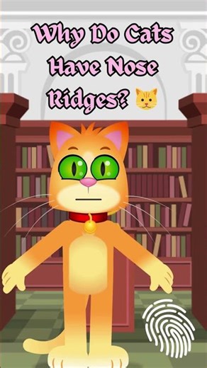 Why Do Cats Have Nose Ridges. 🐱#CatFacts, #NoseRidges