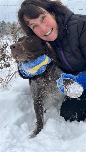 P4 Östergötland on Instagram: "Akta tassarna! Vintern är här med kyla och snö och hundägare behöver se till att deras vovvar inte far illa i kylan. Vi träffade Gittan Engberg som är beteendecoach och hundpsykolog för att höra hur hon tar hand om sin snöälskande hund Simba. / Jessica Gredin"