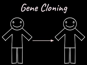 Gene Cloning | Biotechnology Principles and Processes | Class XII | Biology | Khan Academy
