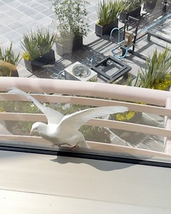 143K views · 165 reactions | Thalia on Reels | Facebook