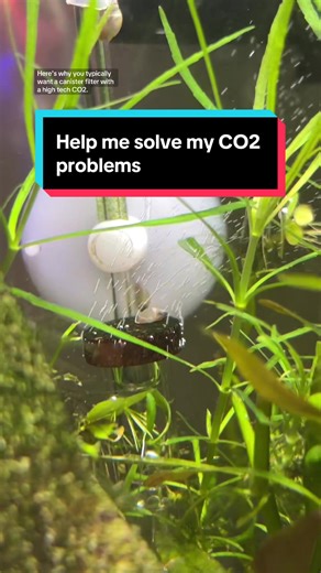 Optimizing CO2 Setup for Hi-Tech Aquascapes