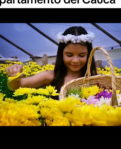 Renovado Himno del Departamento del Cauca