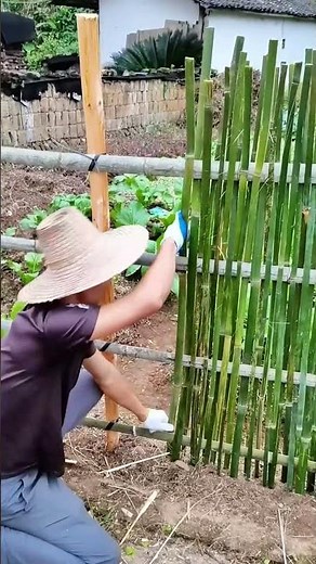 Bamboo fence DIY tutorial, easy - to - learn rural skills