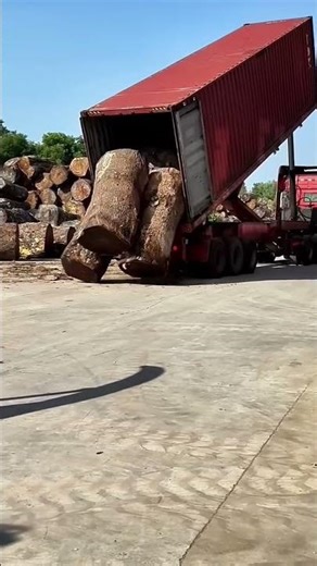 HOW Did This Go SO PERFECTLY 😂🔥