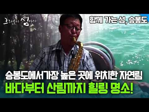승봉도에서 가장 높은 곳에 위치한 자연림 바다부터 산림까지 힐링 명소! [그리우니 섬이다]