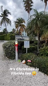 571 reactions · 62 shares |  Bungalow Beach Christmas and the Sea Grape tree  | Bungalow Beach Resort | Facebook