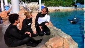 Watch FETCH! With Ruff Ruffman Season 4 Episode 4 - Ruff Pigs Out and Has a Whale of a Time