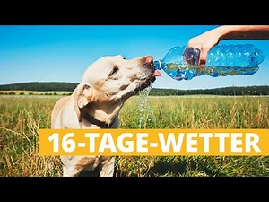 Weather 16 days: How hot will the dog days be?