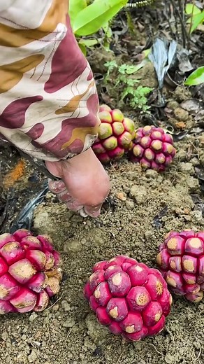 Extracting Roots: A Guide to Gardening Techniques