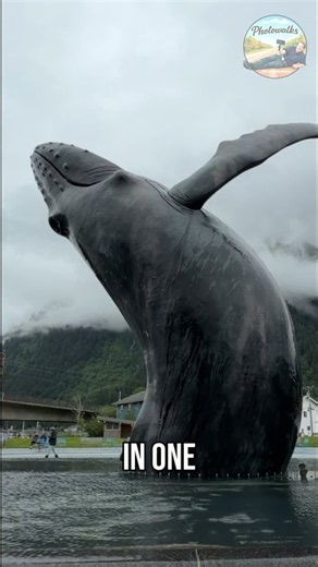 JUNEAU PICTURE SPOT- Whale Park's Iconic Alaska Photo Spot! #shorts