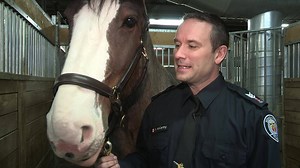Full video on our newest recruit, William | Toronto Police Service