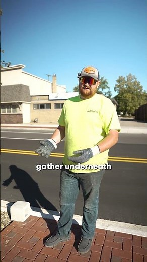 How Cities Save Money With Permeable Tree Surrounds | Porous Pave Explained