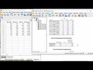 SPSS - Mantel-Haenszel Method