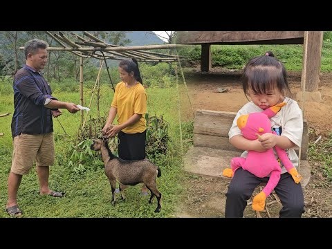 The mother was very sad when the little pig died of illness, and sold the goat with a sore leg.