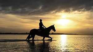 Caulfield Cup form guide: Every horse rated in our expert verdict for $5m Group 1 handicap race