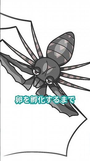 🕷️💥 **奇妙でカッコいい！知られざる“ウデムシ”の驚異の世界とは？** 🕶️🌌 #ウデムシ #雑学 #プチ知識 #生物 #昆虫 #自然 #生態解説 #寄虫 #shorts