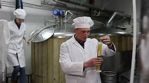 Professional brewmaster controlling craft beer production process in brewery, measuring beverage density with digital hydrometer. High quality FullHD footage