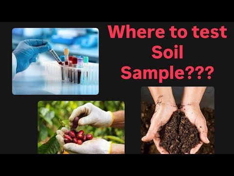 Where To Test Soil Sample? | Soil Test Yalli Madbeku? | Farmers Guide
