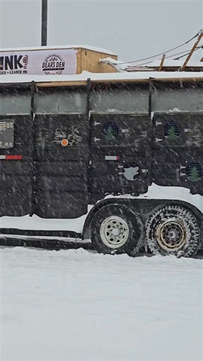 10K views · 351 reactions | These excited puppers are ready to pull some sleds... West Yellowstone... | T. Lyn Neufeld Photography | Facebook