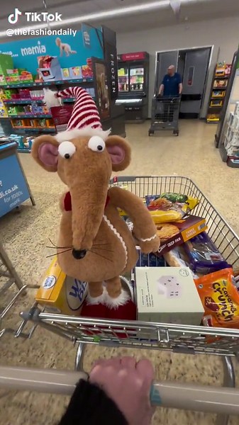 Meet Ratty: The Aldi Christmas Rat