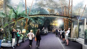 New 'Pantera Walk' for jaguars debuts at San Antonio Zoo