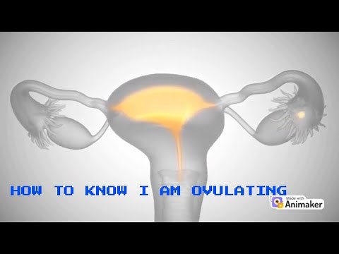 How to know I am ovulating