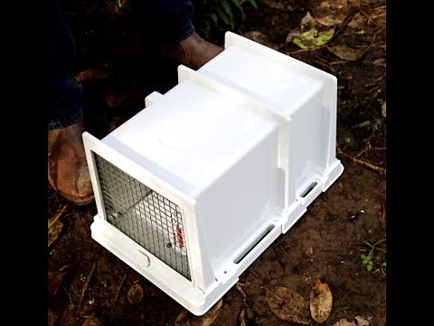 Trapinator Mustelid Tunnel. Kill Rats, Stoats, Weasels, Hedgehogs and Ferrets with a Doc 200